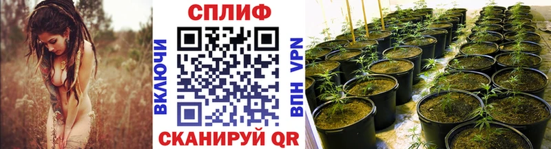 Каннабис VHQ  дарнет шоп  Жуковка 